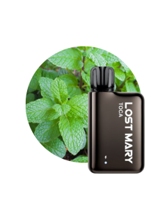 LOST MARY - KIT TOCA METAL SPEARMINT CON POD PRECARICATA 20MG DI NICOTINA 