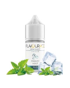 FLAVOURAGE - FREEZY MINT - MINI SHOT 10+10 