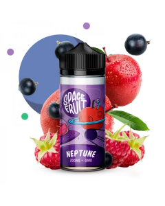 SPACE FRUIT - NEPTUNE 240ML