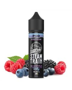 STEAM TRAIN - PUFFING BILLY - MINI SHOT 10+10