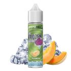 SVAPONEXT - THE FROZEN BRAIN FUJI MELON 60ML
