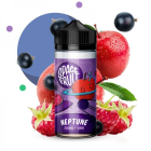 SPACE FRUIT - NEPTUNE 240ML