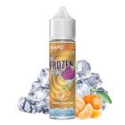 SVAPONEXT - THE FROZEN BRAIN SWEET TANGERINE 60ML